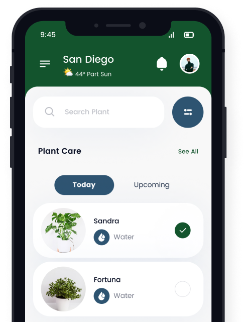Mobile Mockup
